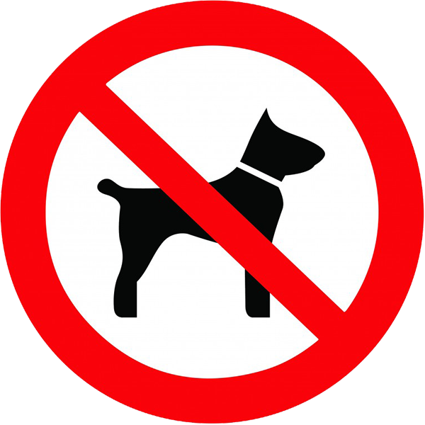 interdiction aux chiens